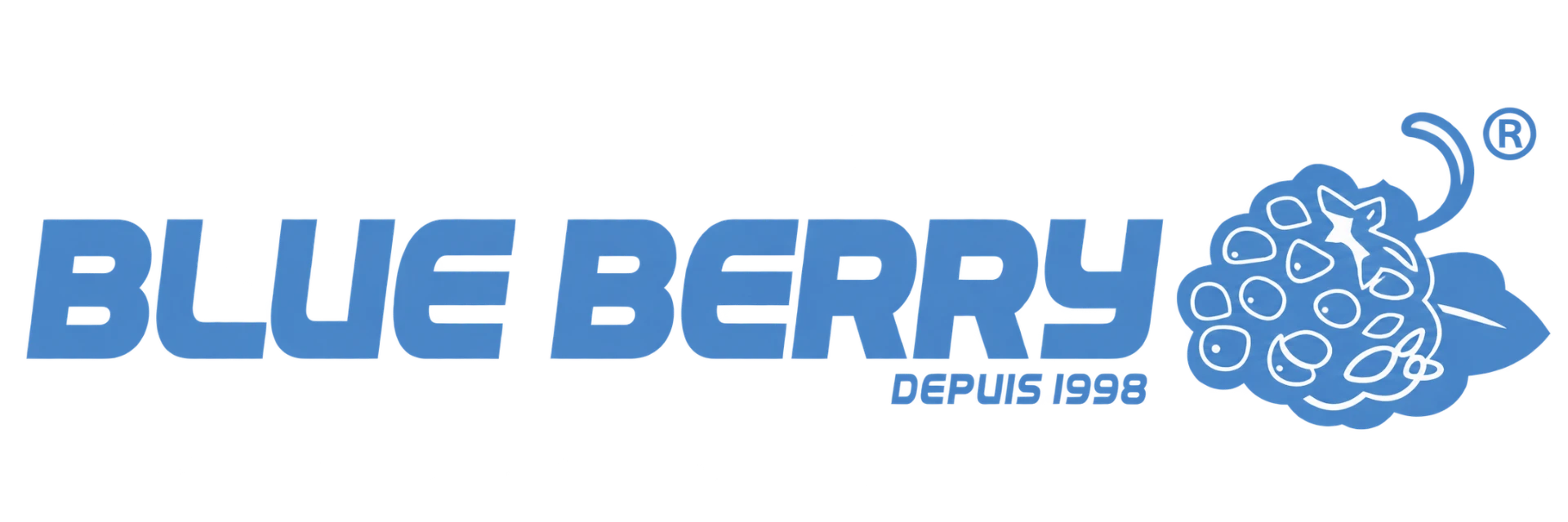 Logo Blue Berry